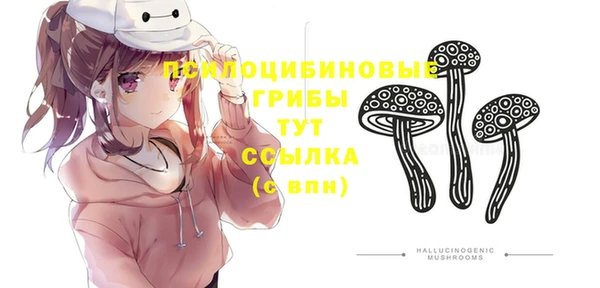 соль курить ск Алексеевка