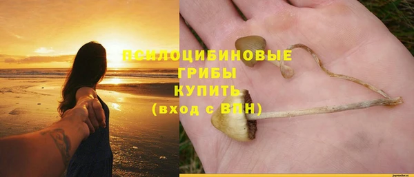 соль курить ск Алексеевка