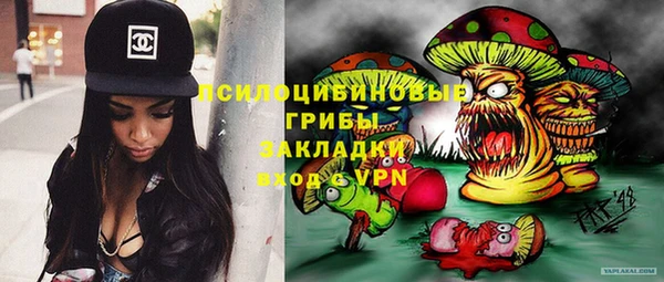 герыч Алексин