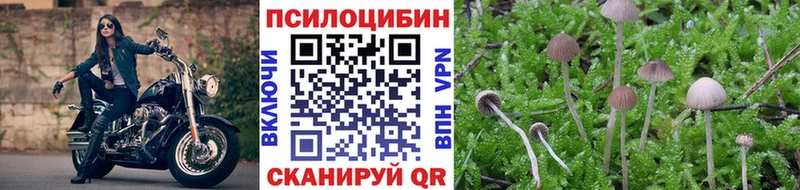 blacksprut ТОР  Феодосия  Галлюциногенные грибы Magic Shrooms  закладки 